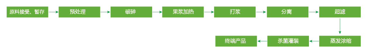 藍(lán)莓、草莓、桑葚濃縮汁